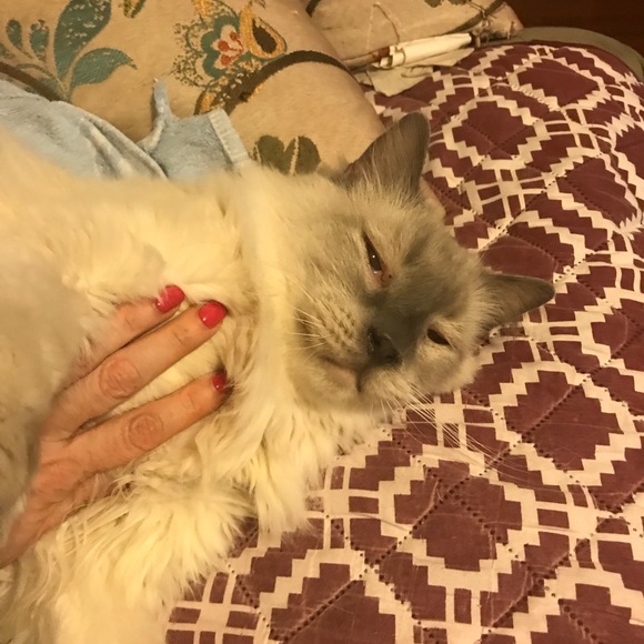 Meet your Posher, Nella - Picture 7 of 13